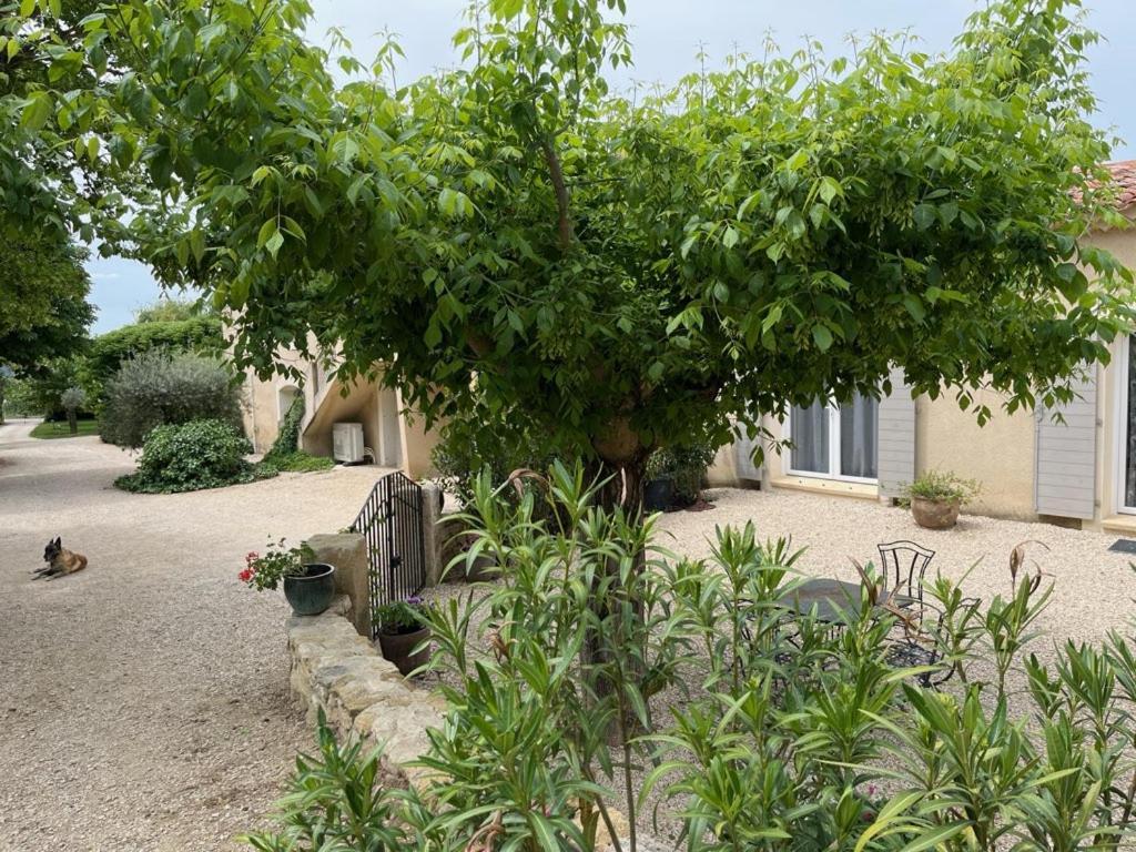 Villa Bastide Provencale Cadenet Exterior foto